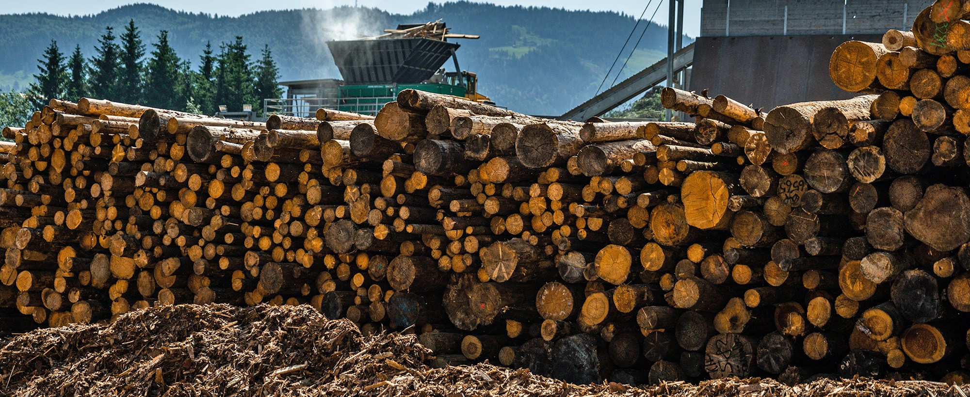 Biomasse Pölzleitner Holz Abtenau